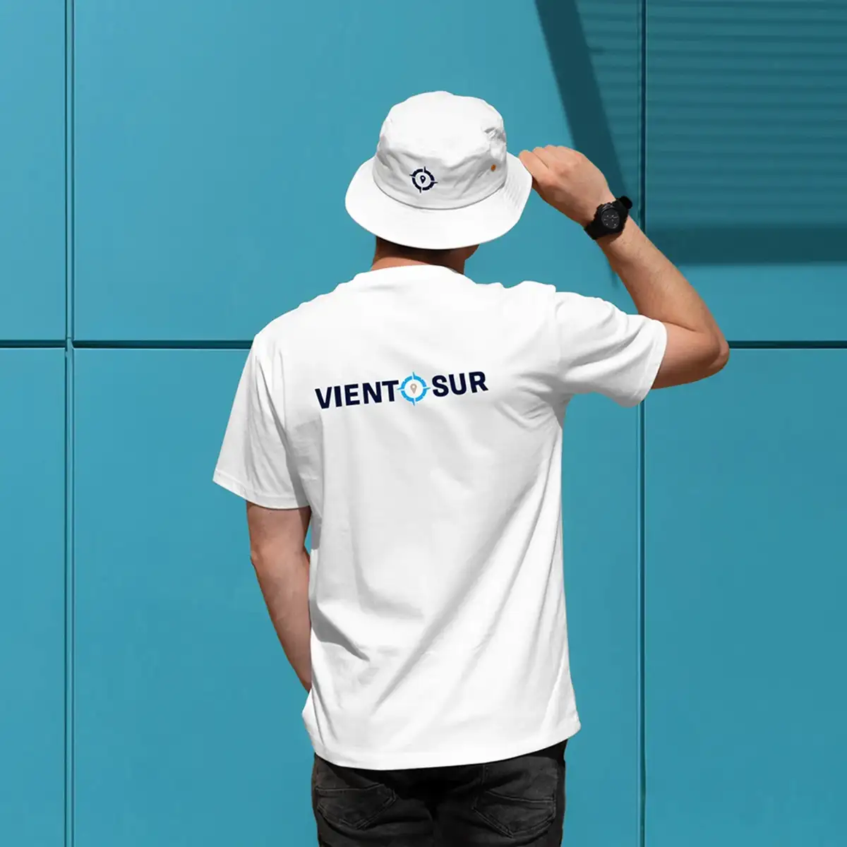 Viento Sur