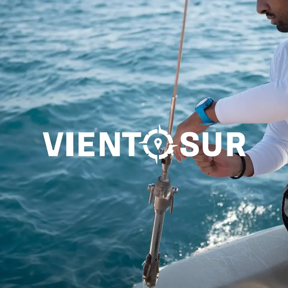 Viento Sur
